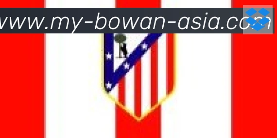博万体育合作伙伴